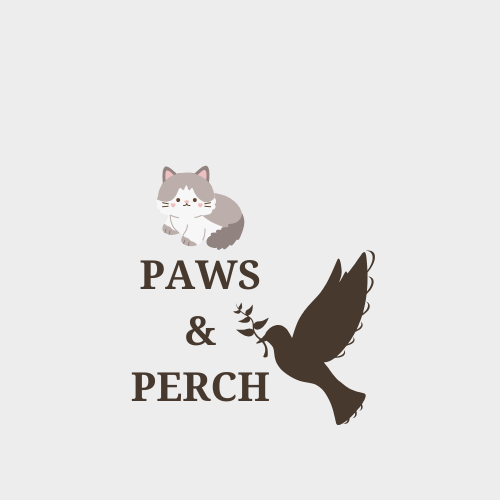 Paws and Perch